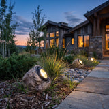 Rocky Light (Outdoor Solar) glowing among garden planting at dusk