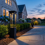 Nimbus Quad Solar Light glowing among garden planting at dusk