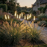 Reed Garden Light Bundle