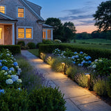 LaVie Solar Lights lighting a stone garden path at dusk