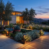 LaVie Solar Lights set among garden planting at dusk