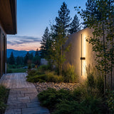 Luminous Line Outdoor Lights mounted on a garden wall above planting at dusk