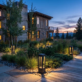 Nimbus Light set among garden planting at dusk