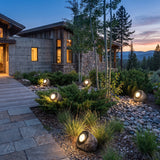 Rocky Light (Outdoor Solar) set among garden planting at dusk