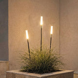 Reed Garden Light Bundle