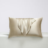 Arti Living Premium Mulberry Silk Pillow Case Set